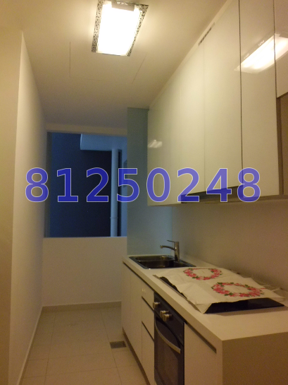 Wembly Residences (D19), Apartment #13904772